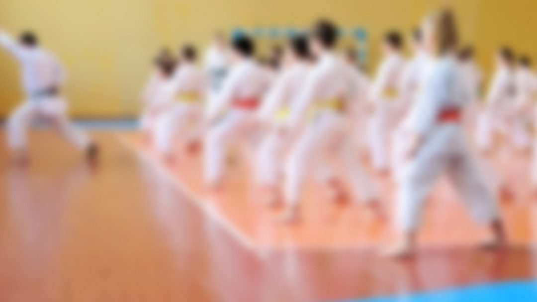 Beacon Hill School Hollywood Karate TAEKWONDO lessons | After-school programs are available.